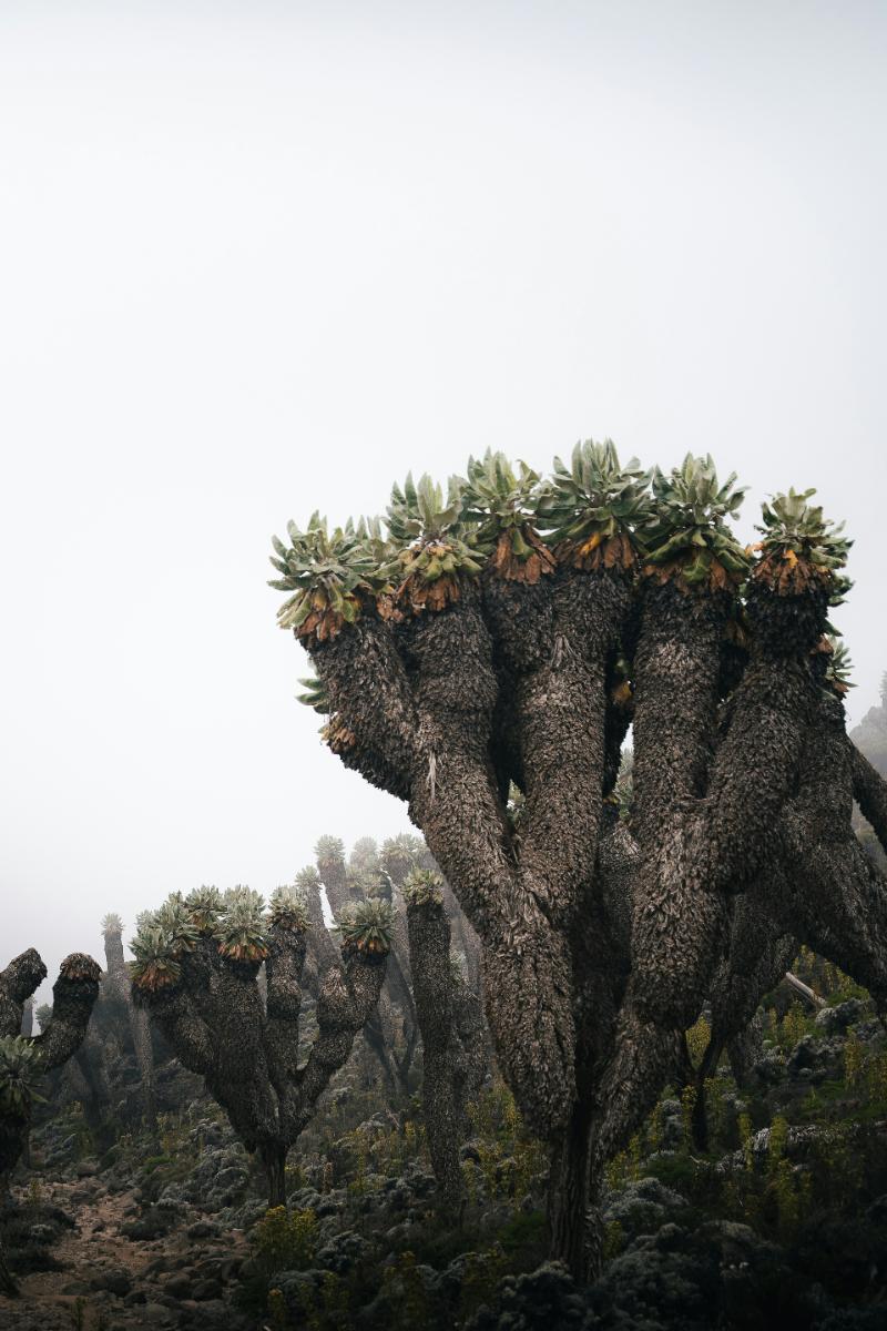 VsCode 快捷键有五种组合方式